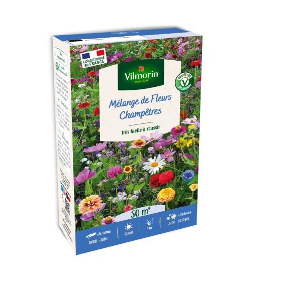 Mélanges de fleurs - Fleurs Champêtres - 50 m² - Mélange de fleurs - face recto